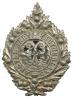 Čepic.odznak na baret  - Argyll and Sutherland Highlanders -