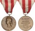 Pam.medaile "Druhého národního odboje"   VM III/20