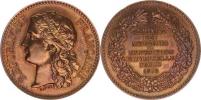Paříž - "Administ. des Monnaies-Exposition Universelle 1878"