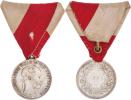 AR pamětní medaile pro pražské ozbrojené sbory 1866