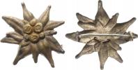 Odznak německého Alpského spolku DAV "Edelweiss"   cca 1930/40