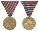 Petar I - Pozlacená bronzová medaile balkánské války