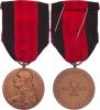 4.stř.pluk Prokopa Velikého - pamětní medaile