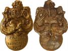 Zájezd na Slovensko 1922 (legionáři) bronz 29x43 mm spo na