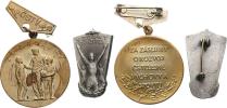 Odznak "Vzorný cvičitel"     postř. bronz 18x30 mm  zapín. sponka