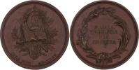 Widemann - AE medaile na úpravu sedmihr. zákonů 1765