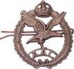 AAC - čepicový plukovní odznak