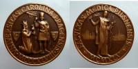 Lékařská fakulta University Karlovy v Plzni 1978 -