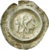 Přemysl Otakar II. 1253-1278