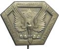 odznak slet 1928 Mukačevo