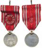 Pamětní medaile červeného kříže za účast v I.svět.válce