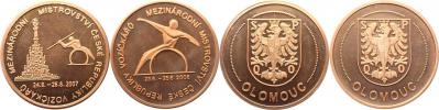 Mezinárodní mistrovství České republiky vozičkářů 2006