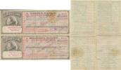 U.S.A. - CUNARD LINE