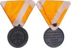Pius IX. - Pamětní medaile pro rakouské dobrovolníky