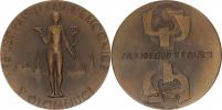 75 let Fakultní nemocnice v Olomouci  / Za obětavou práci;  (1971)    bronz 60 mm   (85