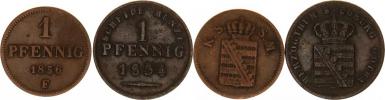 1 Pfennig 1834 Cr. 84 Sasko-Albertine