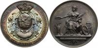Stříbrná medaile 1880