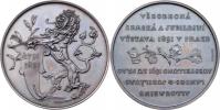 Braun - bronzová medaile pro vystavovatele - český