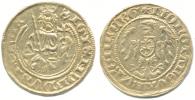 Zikmund (1414 - 1437) - Goldgulden b.l.