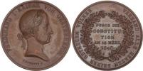 Schmitt - AE medaile na vydání ústavy 15.3.1848 -