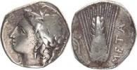 AR Stater (20 mm