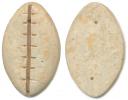 Kamenná nahrážka mušle kauri - bez nápisu