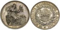 Stříbrná medaile 1883