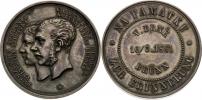 Stříbrná medaile 1881