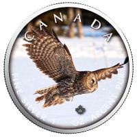 Kanada, 1 unce 2019, Ag 999,9 Owl (sova), 2500 kusů